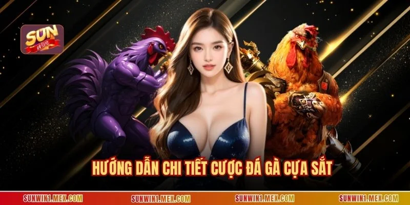Hướng dẫn chi tiết cược đá gà cựa sắt
