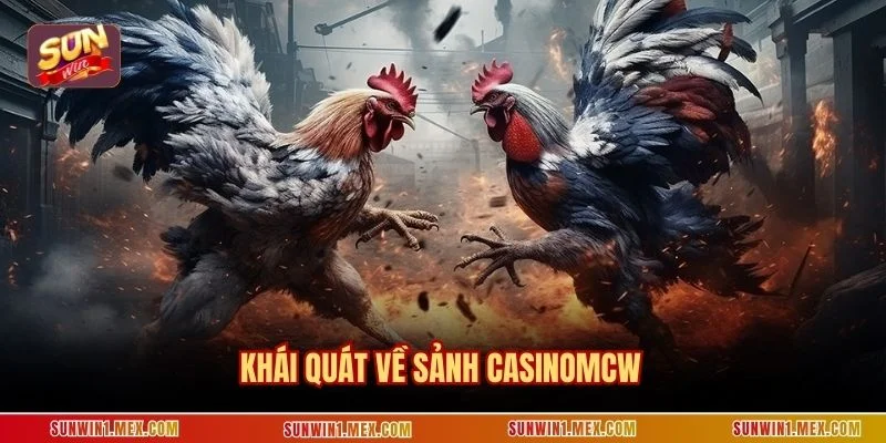 Khái quát về sảnh Casinomcw