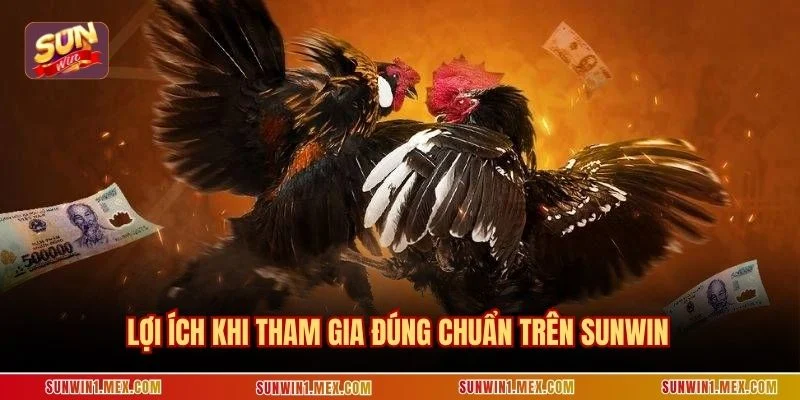 Lợi ích khi tham gia đúng chuẩn trên Sunwin