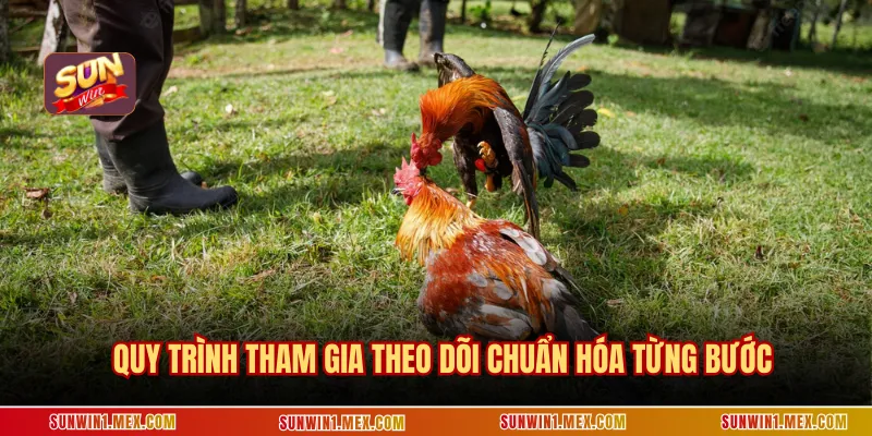 Quy trình tham gia theo dõi chuẩn hóa từng bước