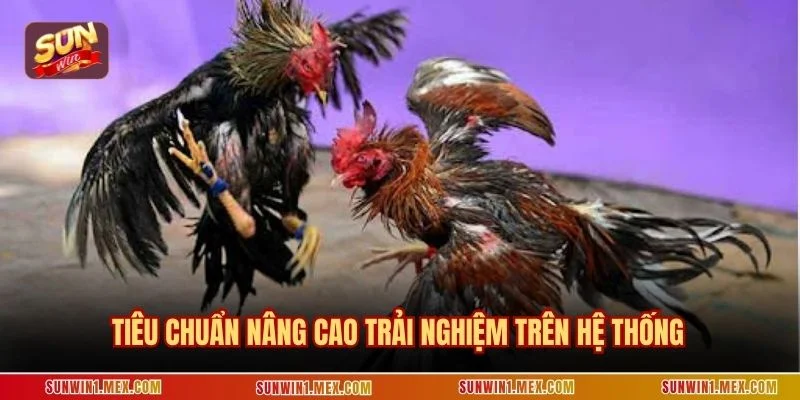 Tiêu chuẩn nâng cao trải nghiệm trên hệ thống