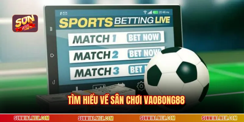 Tìm hiểu về sân chơi Vaobong88