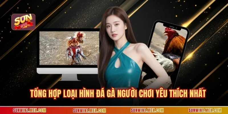 Tổng hợp loại hình đá gà người chơi yêu thích nhất