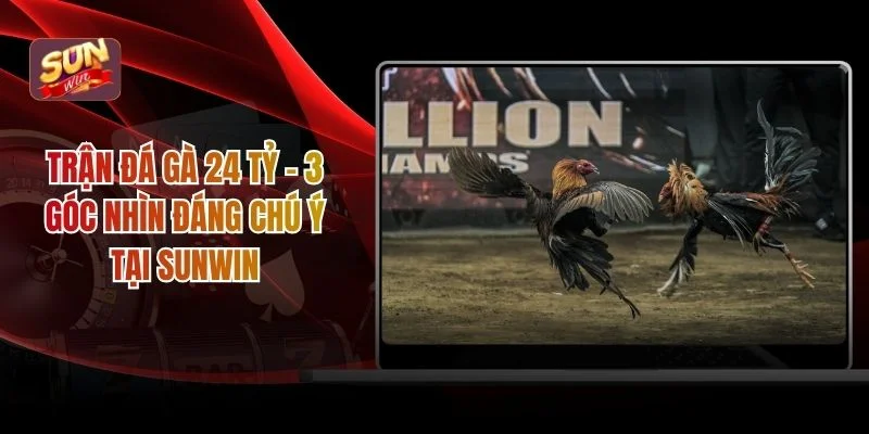 Trận đá gà 24 tỷ