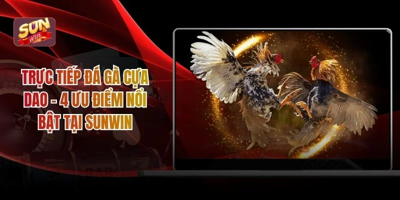 Trực tiếp đá gà cựa dao