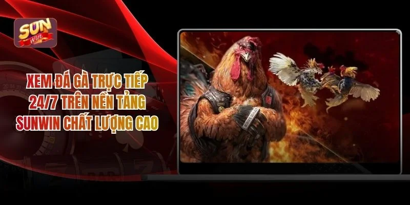 Xem đá gà trực tiếp